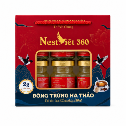 Xách Quà Yến Đông Trùng Hạ Thảo 2g | Nest Việt 360